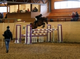 Kunststof springbalk 3,50 meter met houten kern