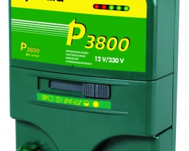 P3800